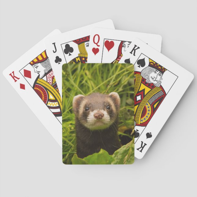 Niedlich Brown Ferret im Gras-Foto Spielkarten (Rückseite)