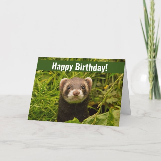 Niedlich Brown Ferret im Gras Glückwunsch zum Gebu Karte (Vorderseite)