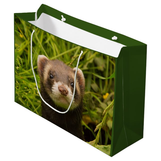 Niedlich Brown Ferret im Gras Große Geschenktüte (Vorderseite Schrägansicht)