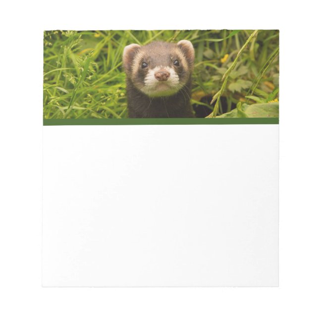 Niedlich Brown Ferret im Gras Notizblock (Vorderseite)