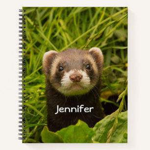 Niedlich Brown Ferret im Gras Notizbuch