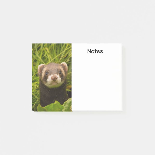Niedlich Brown Ferret im Gras Post-it Klebezettel (Vorderseite)