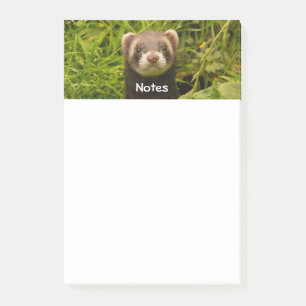 Niedlich Brown Ferret im Gras Post-it Klebezettel