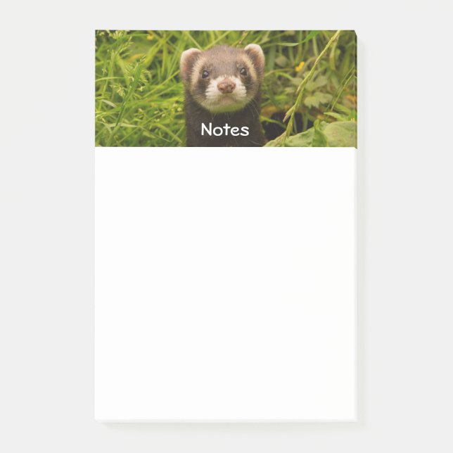 Niedlich Brown Ferret im Gras Post-it Klebezettel (Vorderseite)
