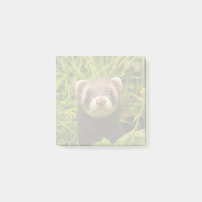 Niedlich Brown Ferret im Gras Post-it Klebezettel (Vorderseite)