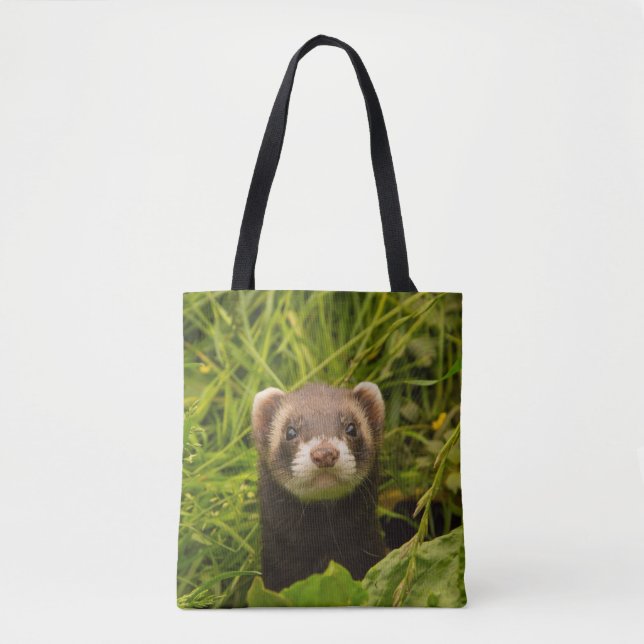Niedlich Brown Ferret im Gras Tasche (Vorderseite)