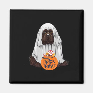 Niedlich Brown Newfundland Hund Halloween Magnet