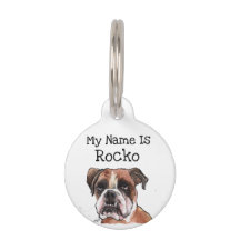 Niedlich Brown & White witziger Boxer Dog Wasserfa