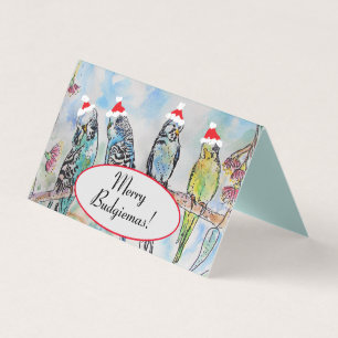 Niedlich Budgie Weihnachten Budgerigar Budgies Bir