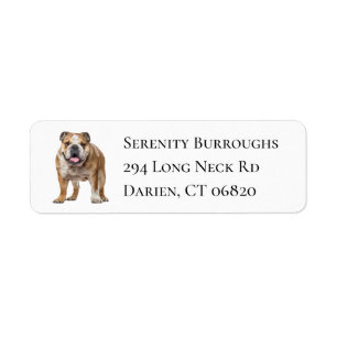 Niedlich Bulldog Lover Puppy Dog Mama English Bull