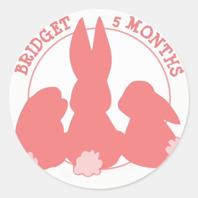 Niedlich Bunnies Monatsaufkleber Runder Aufkleber (Vorderseite)