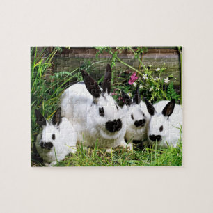 Niedlich Bunnies Puzzle