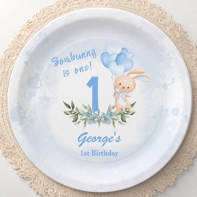 Niedlich Bunny Blue 1. Geburtstag Junge Frühling Pappteller (Cute Bunny Blue 1st Birthday Boy Spring Paper Plates)