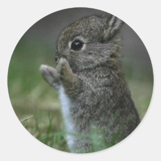 Niedlich Bunny Runder Aufkleber