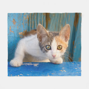 Niedlich Calico Cat Kitten Funny Curry Eyes Foto - Fleecedecke