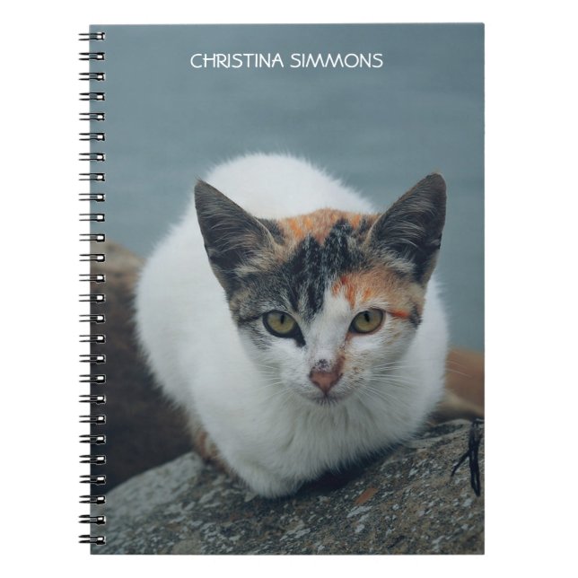 Niedlich Calico Cat Personalisiert Notebook Notizblock (Vorderseite)