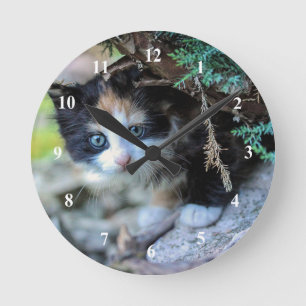 Niedlich Calico Kitten Foto Runde Wanduhr