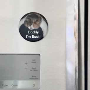 Niedlich Calico Schlafkat über Schulter Magnet