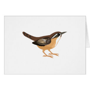 Niedlich Carolina Wren