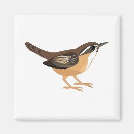 Niedlich Carolina Wren Magnet