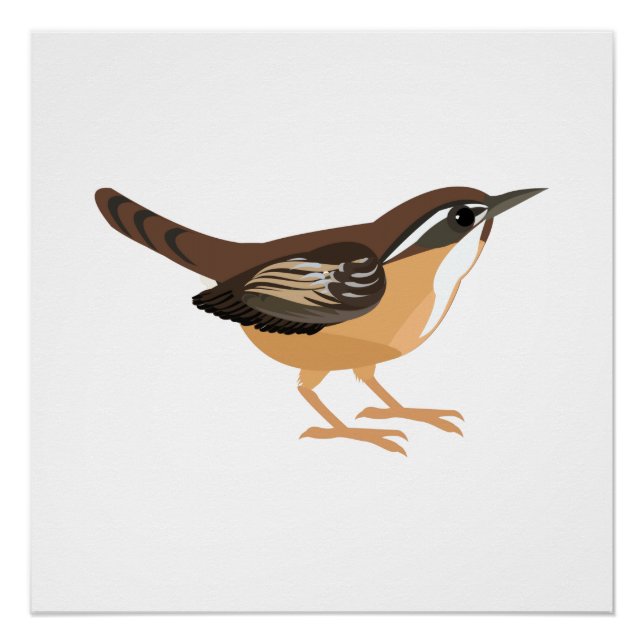 Niedlich Carolina Wren Poster (Vorderseite)