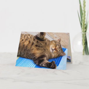 Niedlich Cat Big Hugs Geburtstag Karte