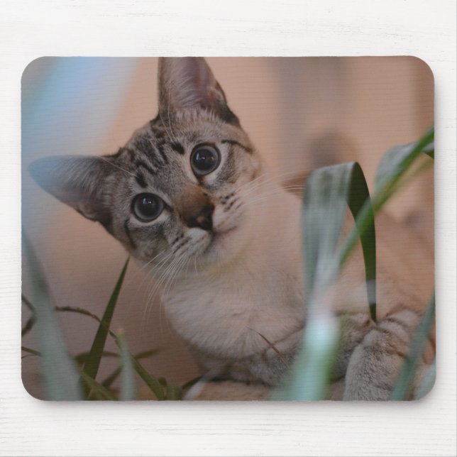 Niedlich Cat Foto Portrait Mousepad (Vorne)