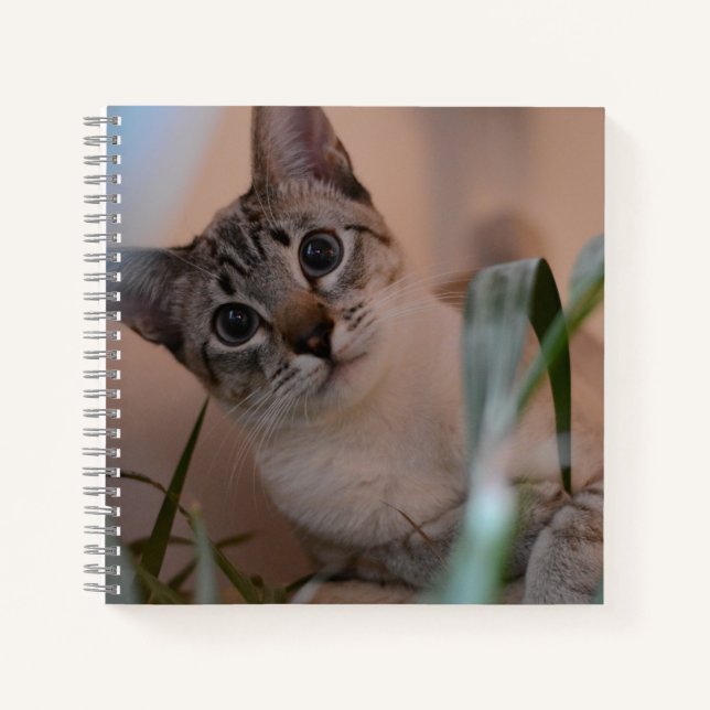 Niedlich Cat Foto Portrait Notizbuch (Vorderseite)