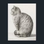Niedlich Cat Sketch Jean-Bernard Duvivier Postkarte<br><div class="desc">Jean-Bernard Duvivier war ein Künstler,  der von 1762 bis 1837 lebte. Ein großer Teil seiner Arbeit bestand aus Porträts und nicht-Fiktion-Buchillustrationen,  aber er liebte Katzen sehr. Für mehr Plakate und eine große Auswahl an anderen Produkten,  besuchen Sie bitte unseren Shop.</div>