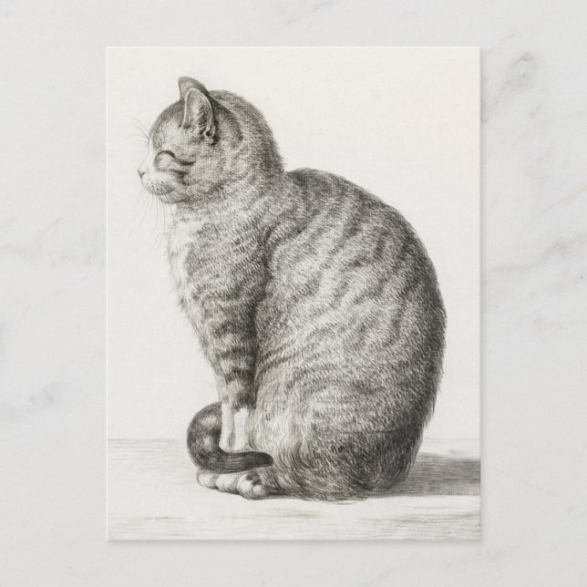 Niedlich Cat Sketch Jean-Bernard Duvivier Postkarte (Vorderseite)