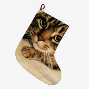 Niedlich Cat Weihnachts-Strumpf Großer Weihnachtsstrumpf
