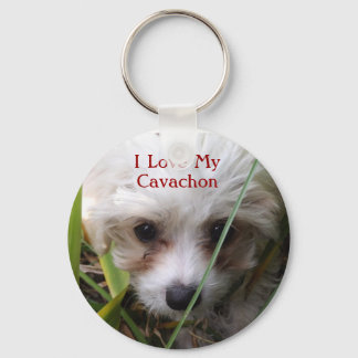 Niedlich Cavachon Puppy Schlüsselanhänger