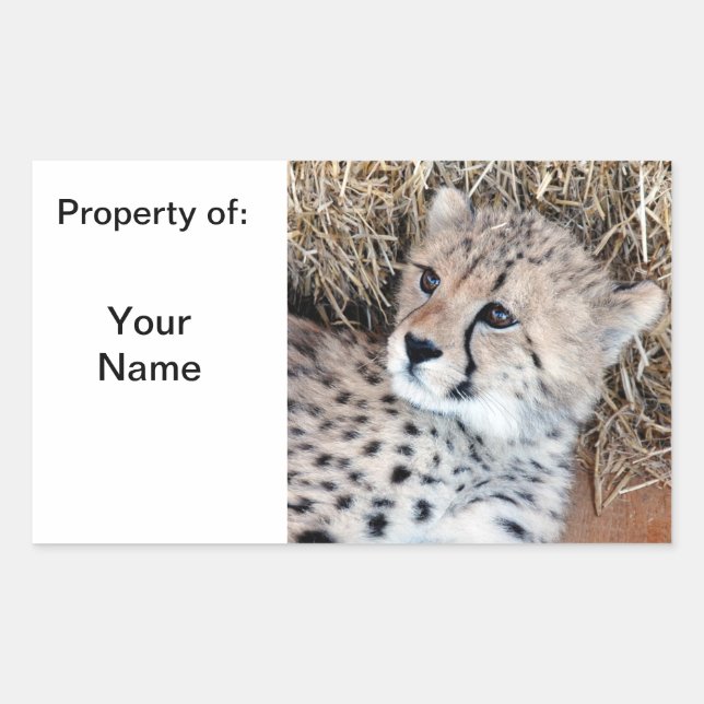 Niedlich Cheetah Cub Foto Name / Rechteckiger Aufkleber (Vorderseite)