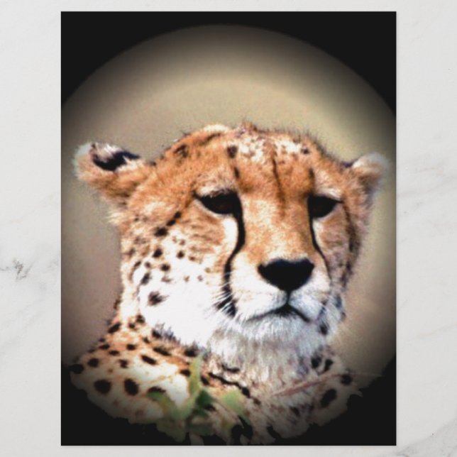 Niedlich Cheetah Tear Marks Hakunamatata (Vorderseite)