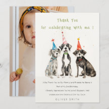 Niedlich Chic Kids Pawty Hund Geburtstagsparty Fot