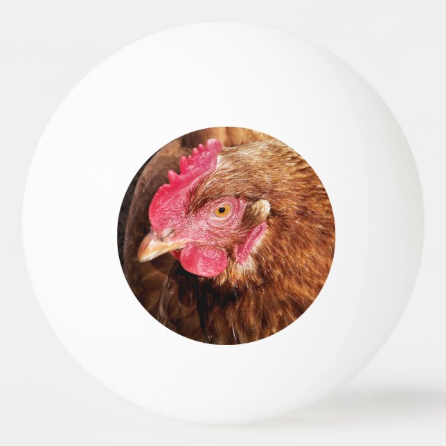 NIEDLICH CHICKEN TISCHTENNISBALL (Vorderseite)