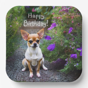 Niedlich Chihuahua Pappteller