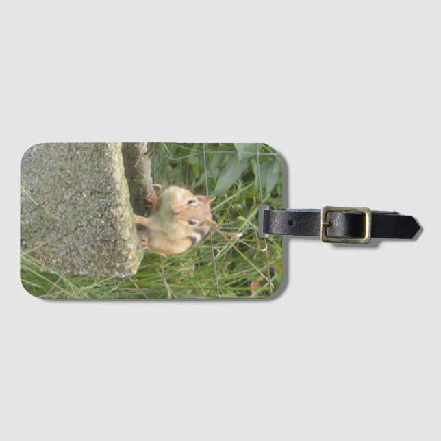 Niedlich Chipmunk Gepäckanhänger (Vorderseite (Horizontal))