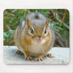 Niedlich Chipmunk hat sein Auge auf dich Mousepad