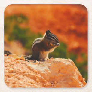 Niedlich Chipmunk Rechteckiger Pappuntersetzer