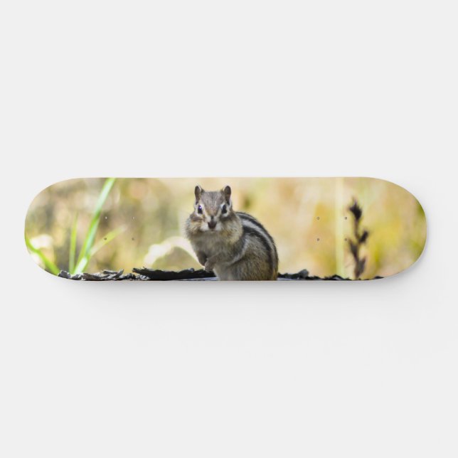 Niedlich Chipmunk Skateboard (Horizontal)