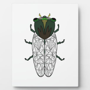 Niedlich Cicada Fotoplatte