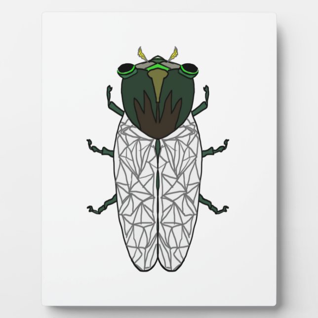 Niedlich Cicada Fotoplatte (Vorderseite)