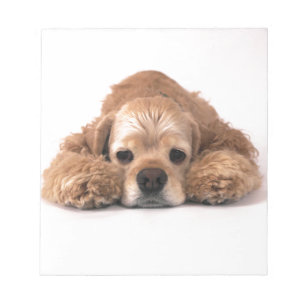 Niedlich Cocker Spaniel Notizblock
