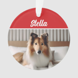 Niedlich Collie Dog Holiday Weihnachts-Foto Ornament