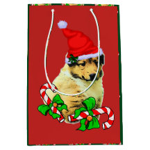Niedlich Collie Puppy Christmas froh