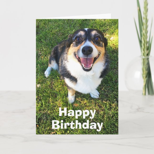 Niedlich Corgi Birthday Karte (Vorderseite)