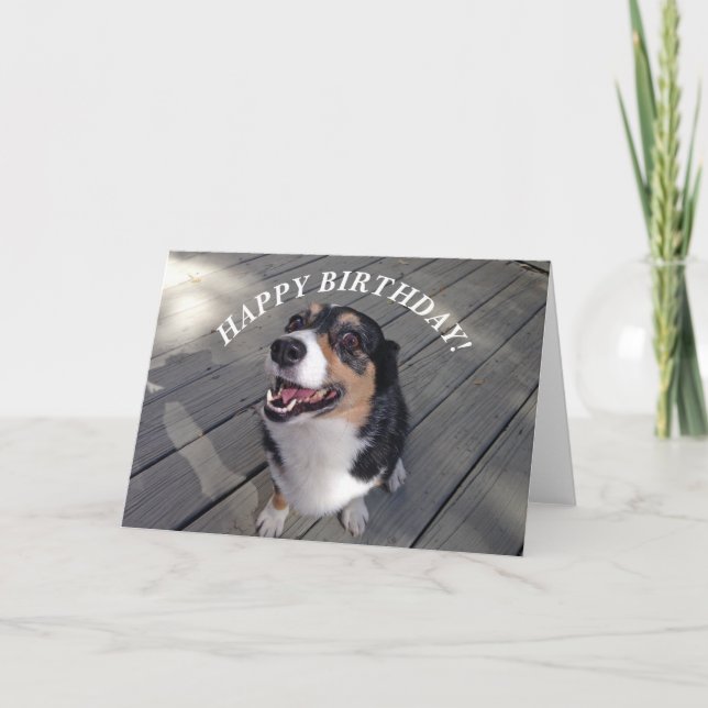 Niedlich Corgi Happy Birthday Karte (Vorderseite)