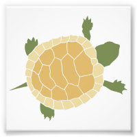 Niedlich Crawling Little Turtle Tortoise