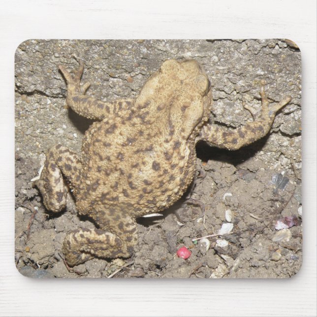 Niedlich Crawling Toad Mousepad (Vorne)